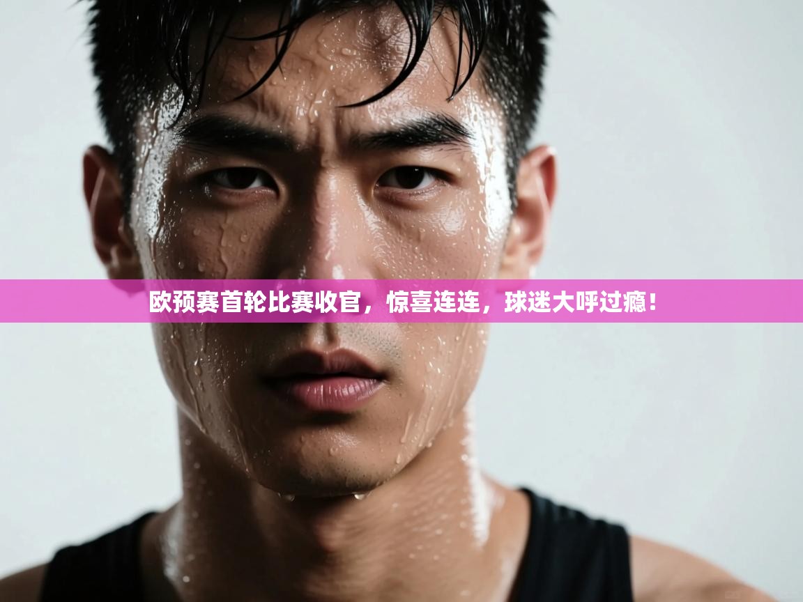 开云体育app下载安装免费-欧预赛首轮比赛收官,惊喜连连,球迷大呼过瘾! 第1张